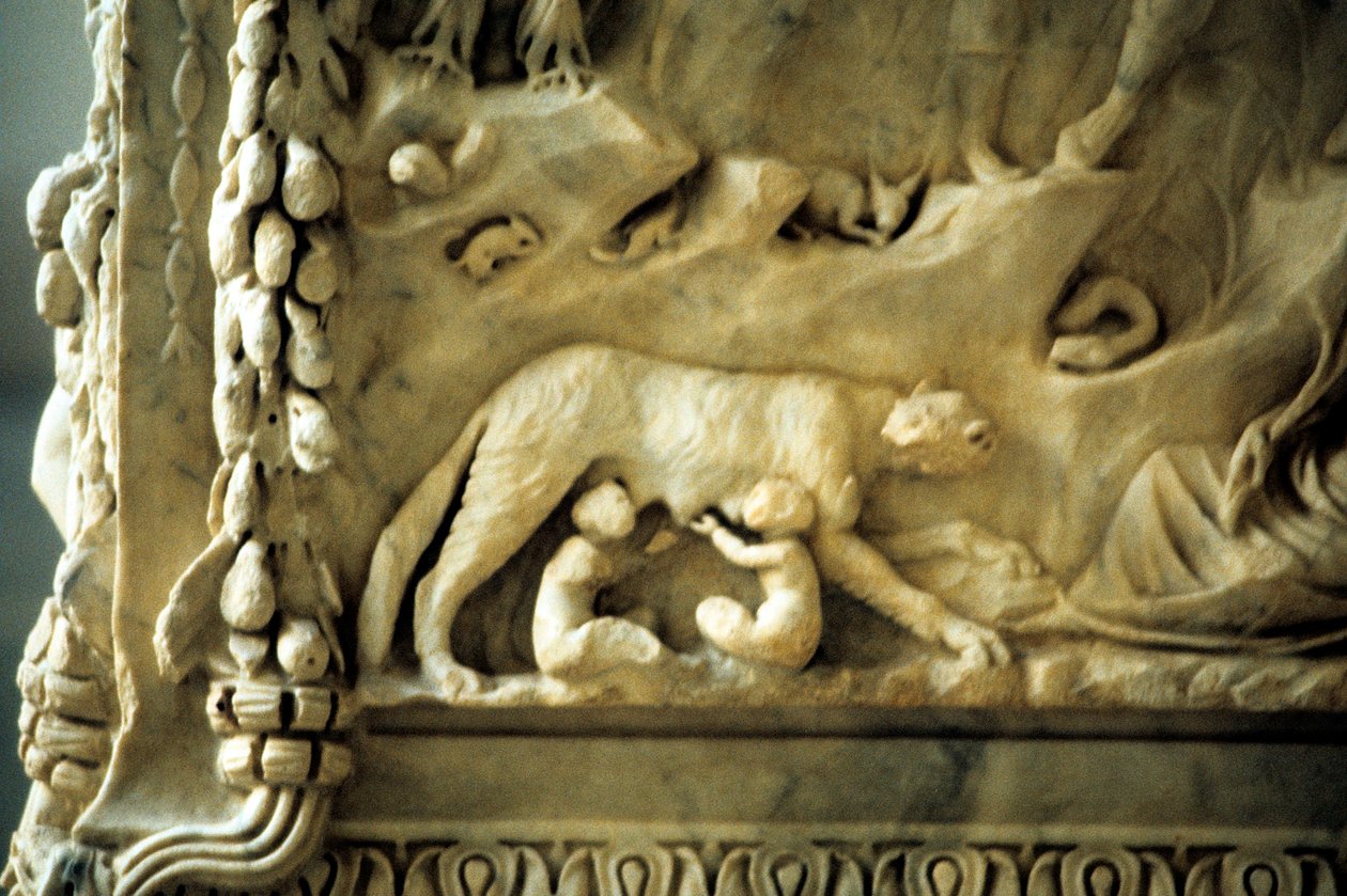 Romulus och Remus diar från hon-vargen av Unbekannt