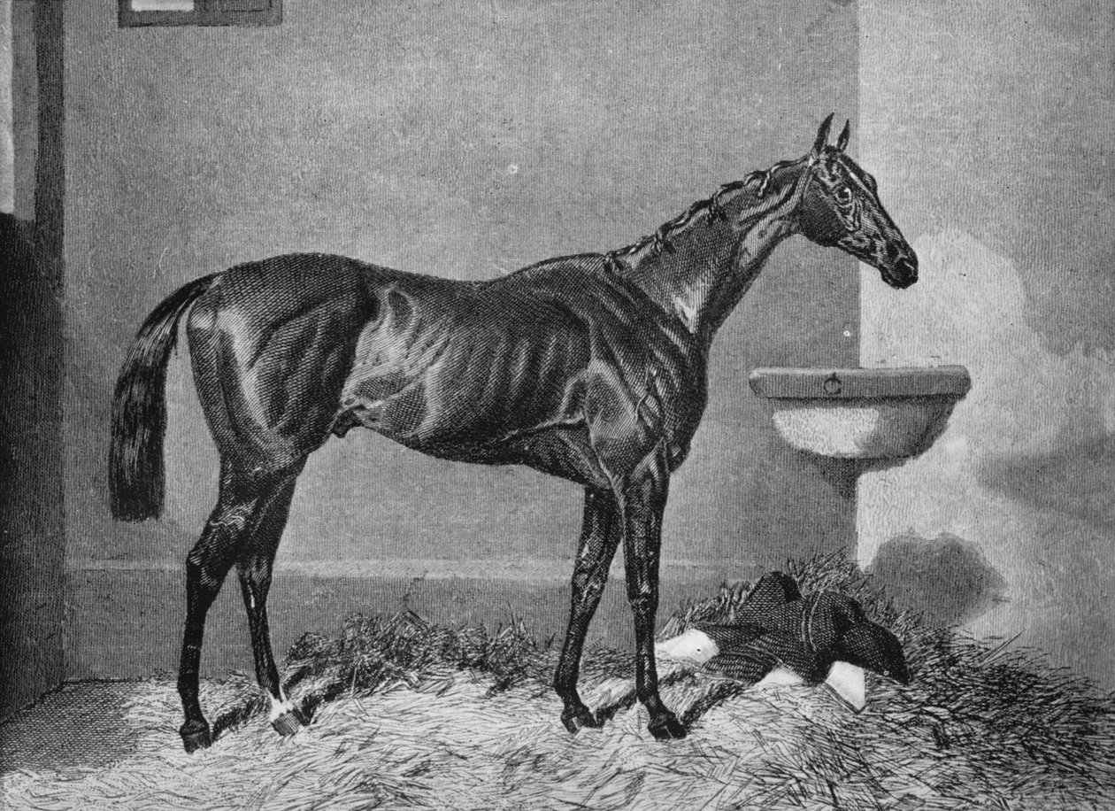 Russborough, 1800-talet, 1911 av Unbekannt
