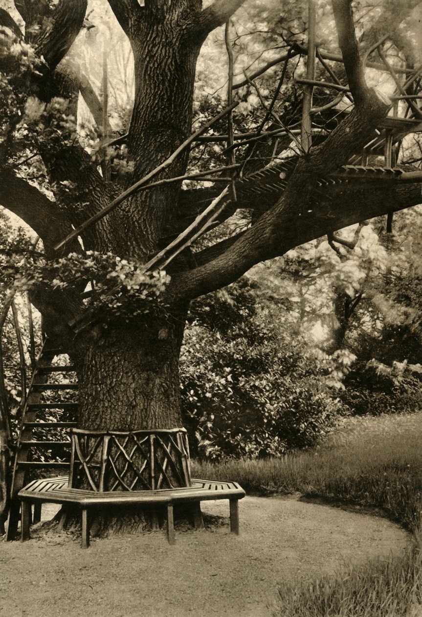 Rustik behandling. - Sommarhus i ett träd, ett perfekt tehus, 1920. av Unbekannt