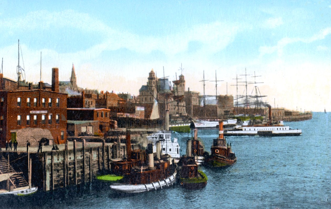 Saint John hamn, Saint John, New Brunswick, Kanada, c1900-talet av Unbekannt