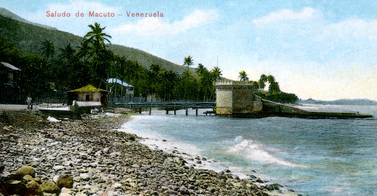 Hälsning från Macuto, Venezuela, 1909 av Unbekannt