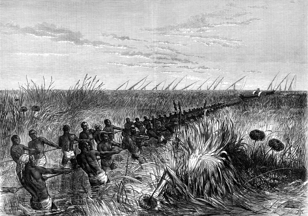 Samuel Bakers båt halas genom flodgräs, 1864 1874 av Unbekannt