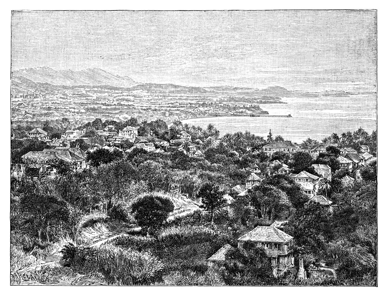 Santa Cruz Island, c1890 av Unbekannt