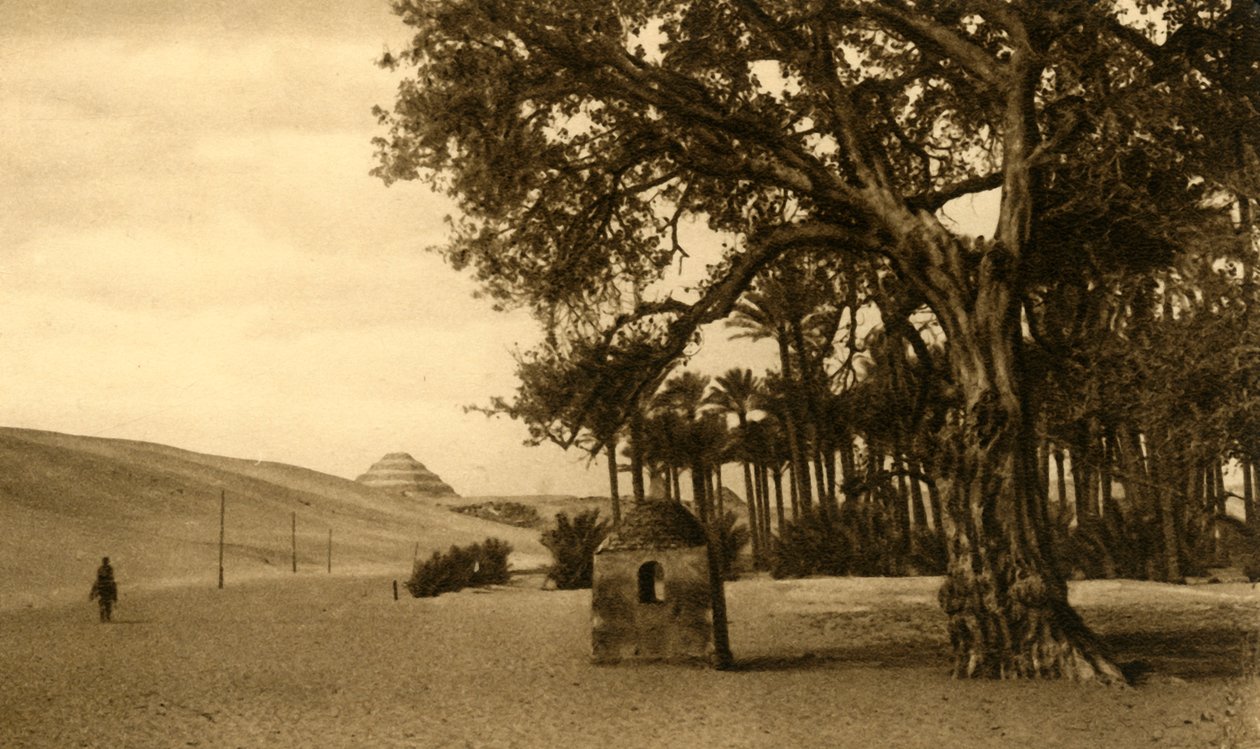 Saqqara - Stegpyramiden sett från Sycomore, c1918-c1939. av Unbekannt