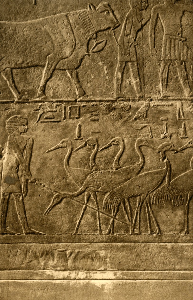 Saqqara - Tomb of Ti Mural Paintings, c1918-c1939. av Unbekannt