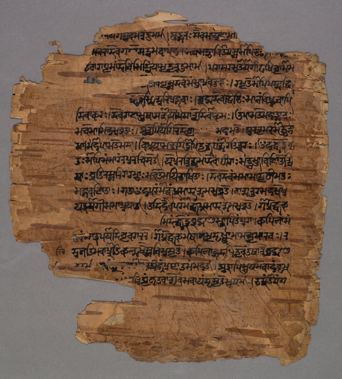 Sarada Script, 1600-tal. av Unbekannt