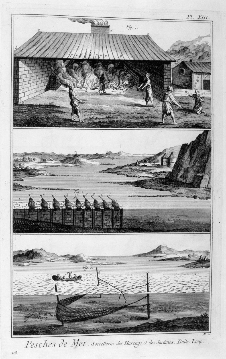 Havsfiske, sill och sardiner, 1751-1777 av Unbekannt