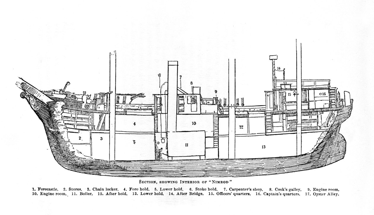 Sektion, Visar interiör av Nimrod., 1909 av Unbekannt