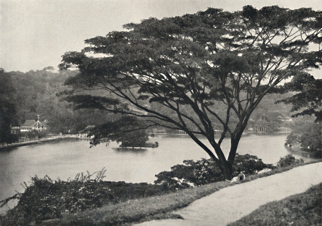 Lake, Temple of the Sacred Tooth Reed och bibliotek i Kandy, sett österut från Victoria Drive, 192 av Unbekannt