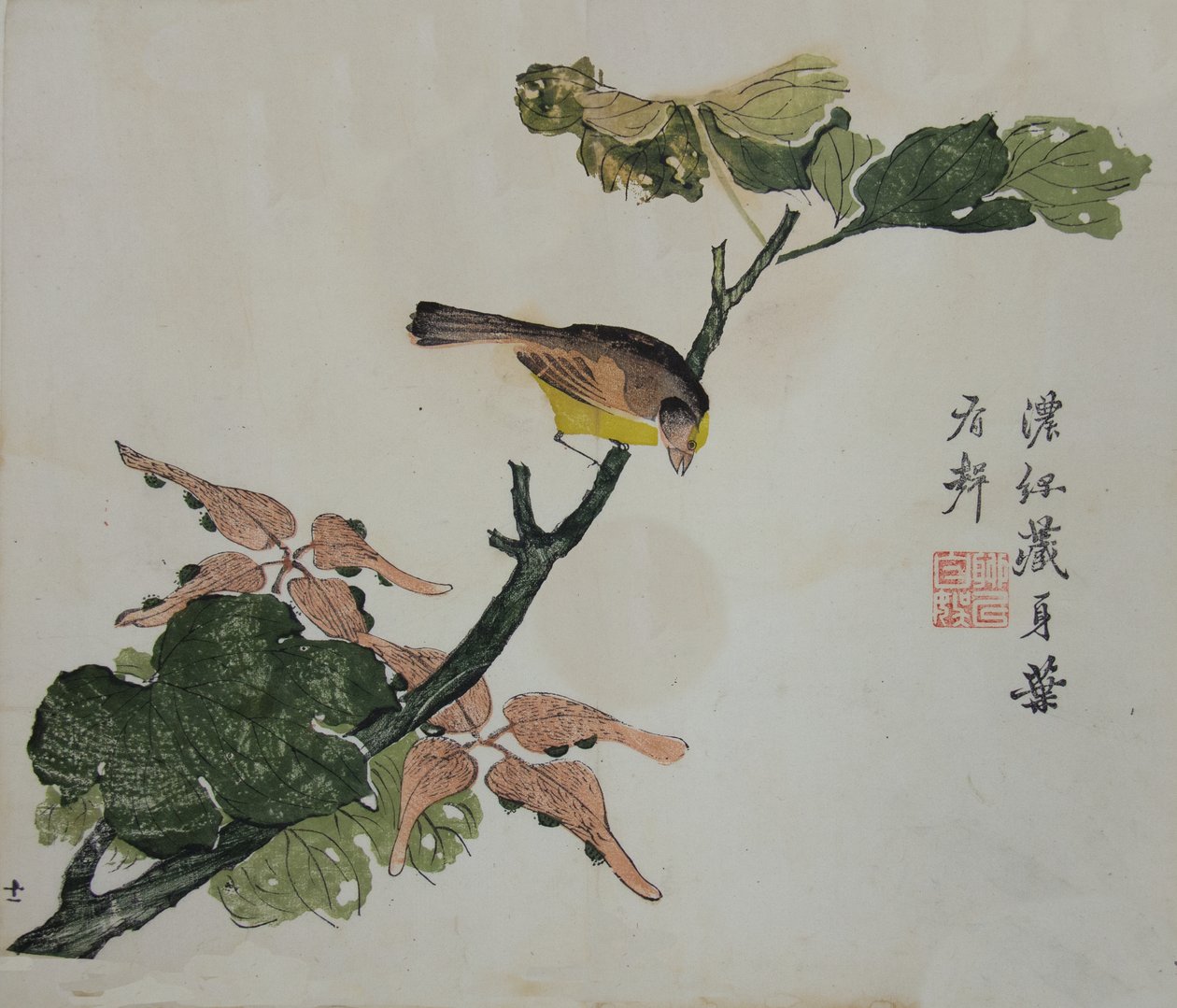 Seeds and Aleurites Cordata : Sida från The Mustard Seed Garden Manual of..., 1782, 2:a upplagan. av Unbekannt