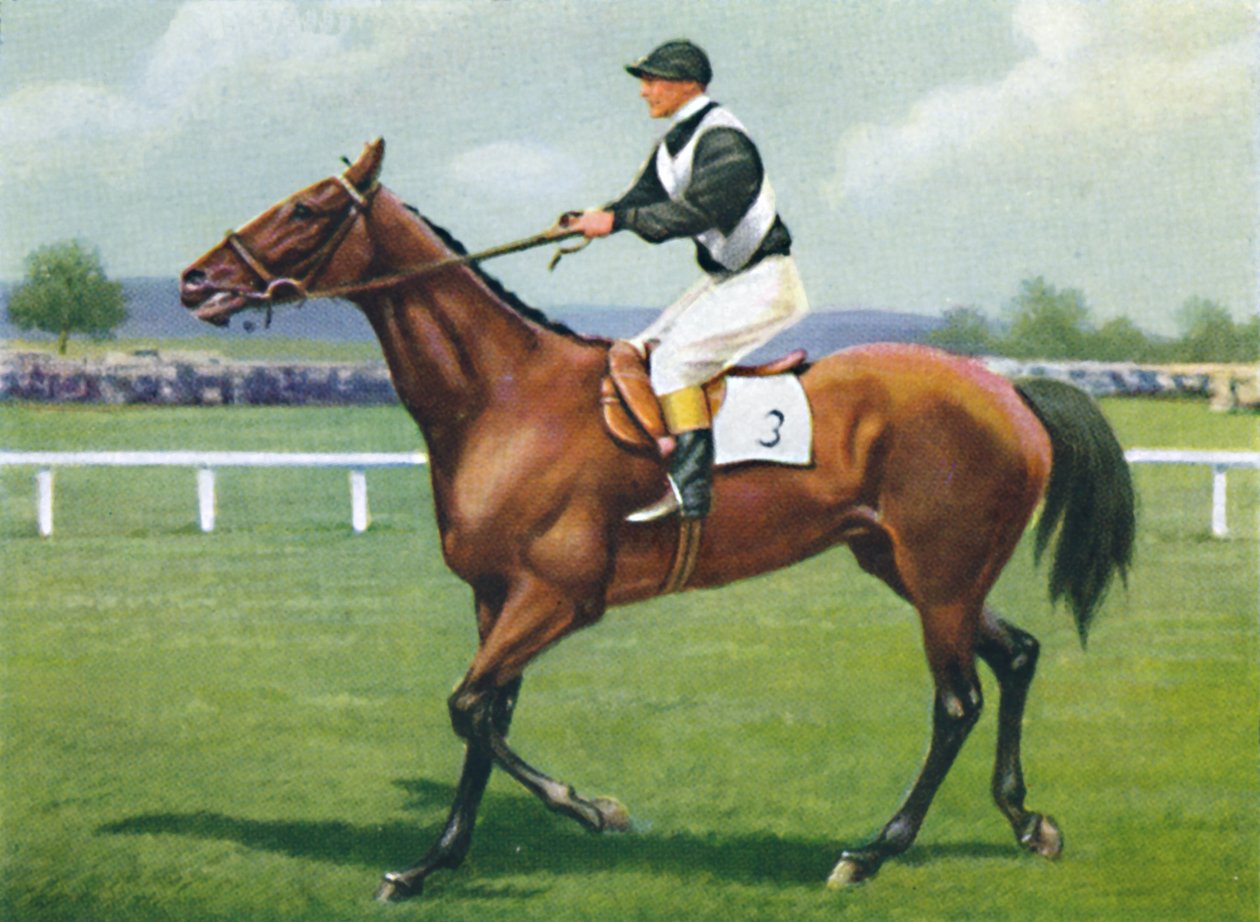 Shalfleet, Jockey: R. Perryman, 1939 av Unbekannt