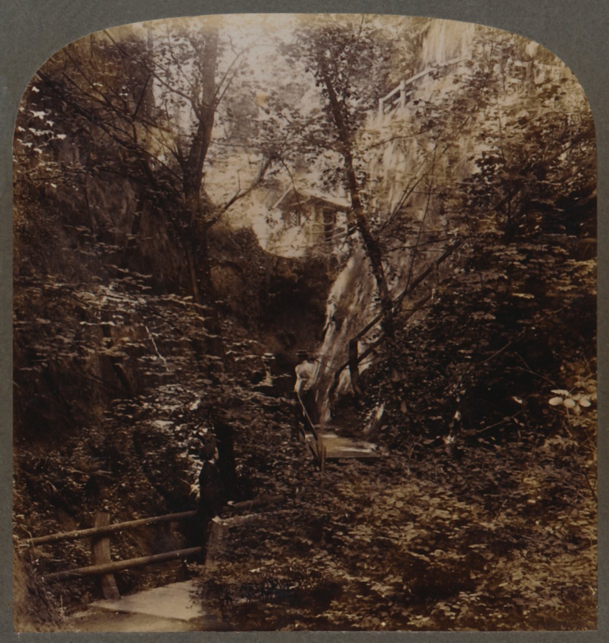 Shanklin Chine of World-wide fame, Isle of Wight, England, c1910. av Unbekannt