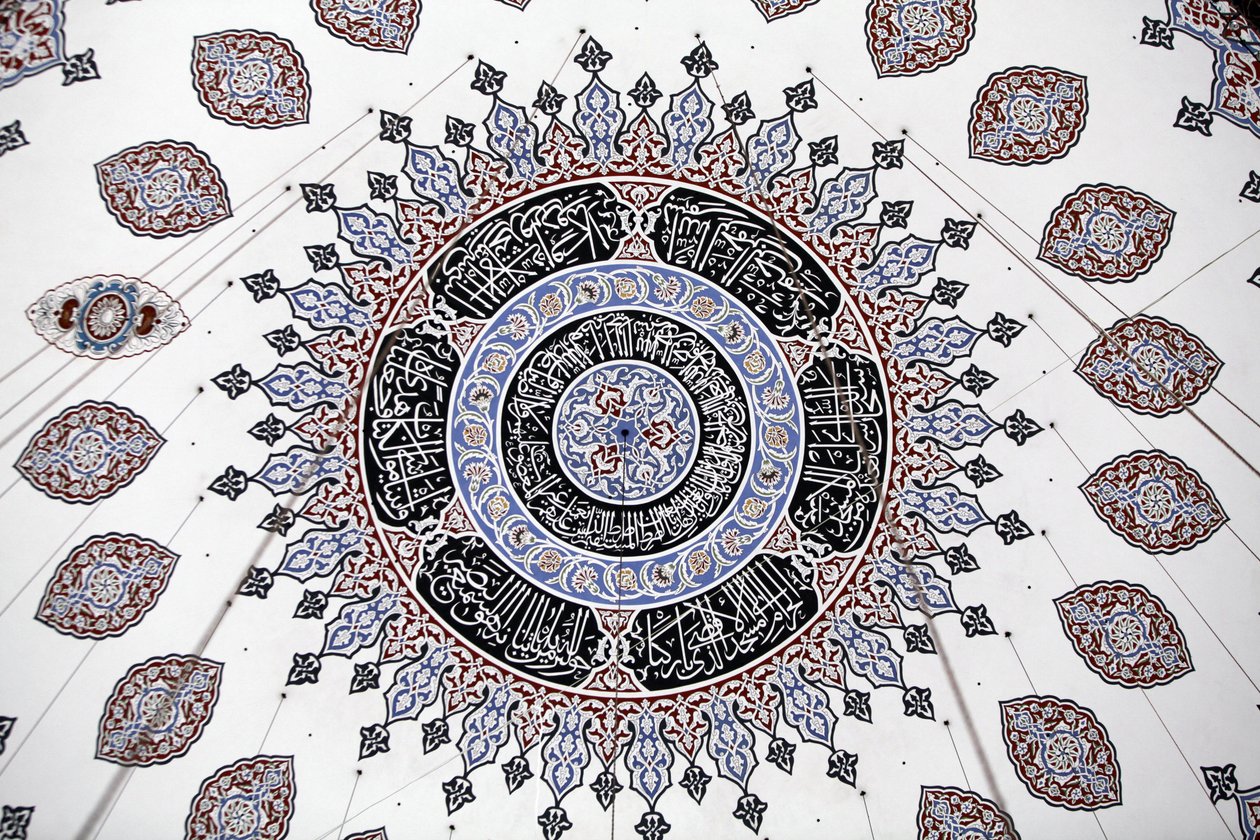 Shehzade (Prince) moské tak Istanbul Turquie av Unbekannt