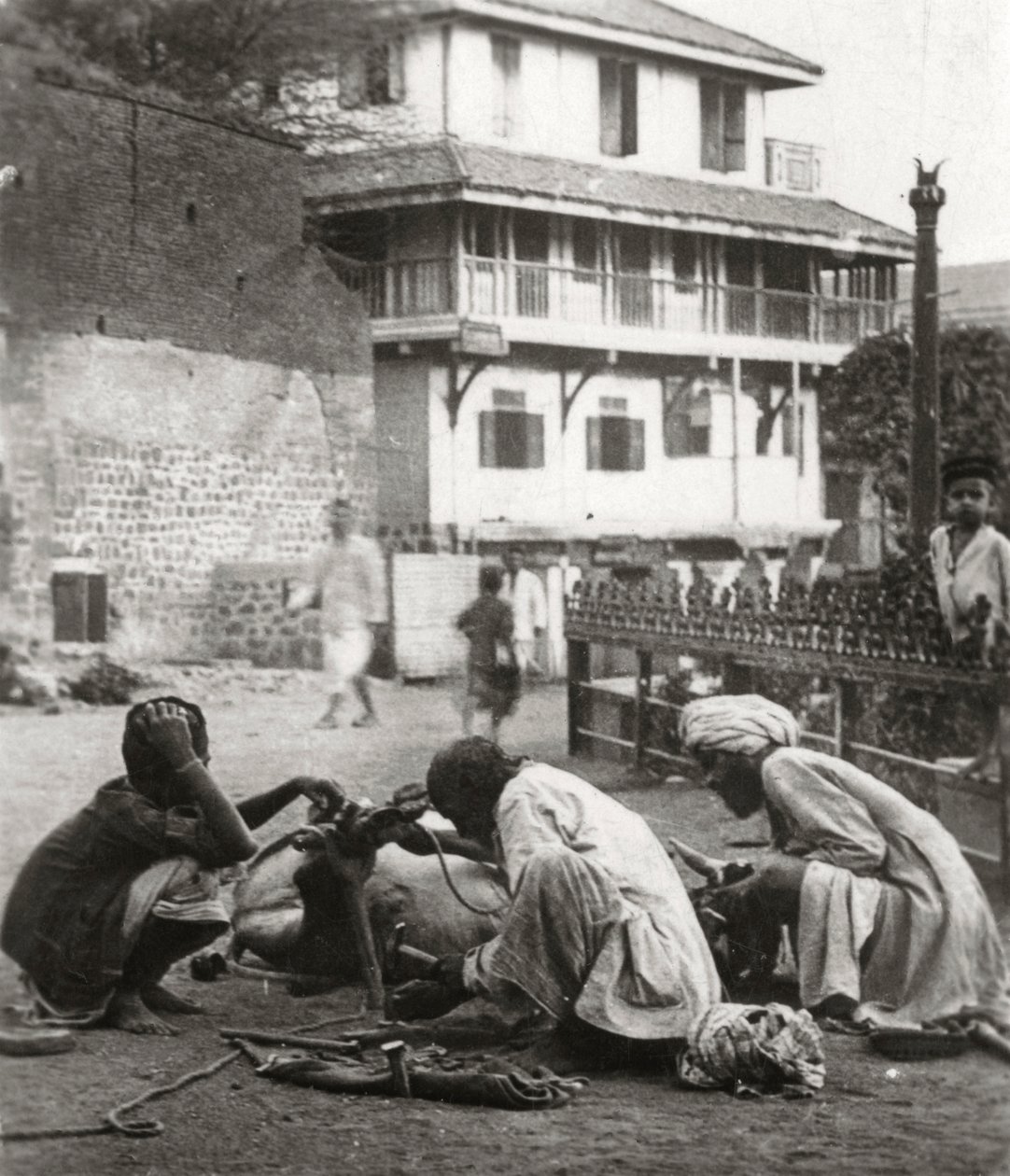 Skor en tjur, Indien, c1927-c1929 av Unbekannt