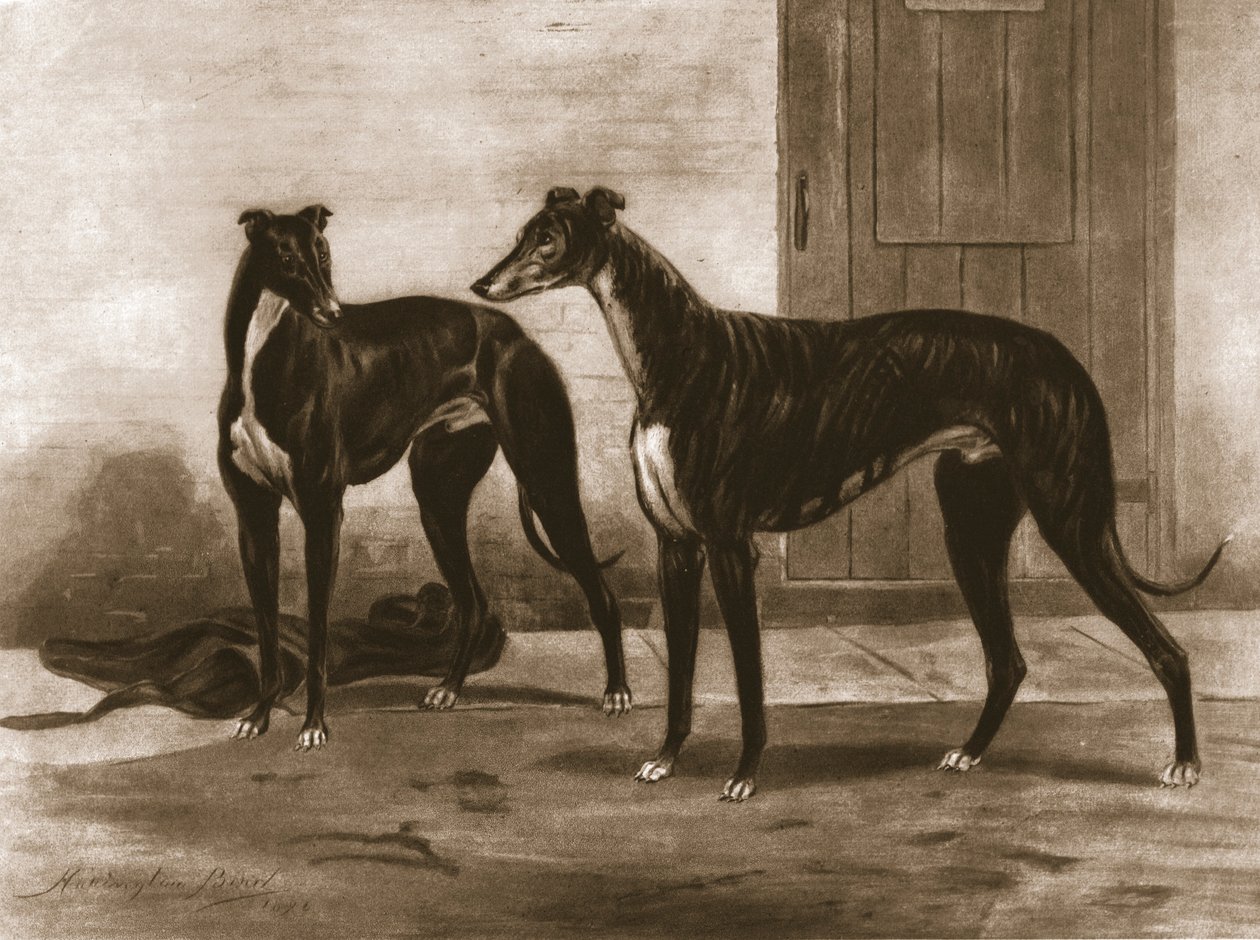Simonian och Fullerton, c1891, 1911. av Unbekannt