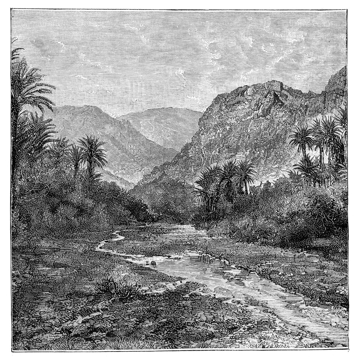 Sinai, Egypten, 1895 av Unbekannt