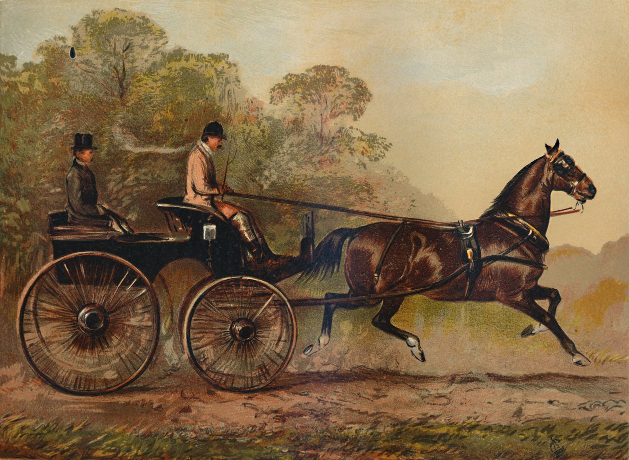 Singelsele Phaeton Horse Columbine. Egendom av Charles Baynes Esq., 1872, c1879 av Unbekannt
