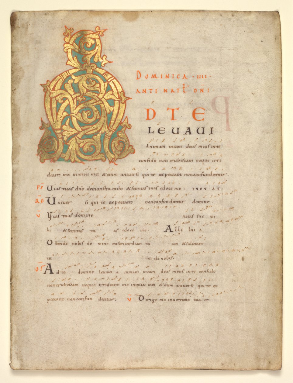 Enstaka blad utskuret från en gradvis och sakramentär: Initial A[d te lavavi], c. 1000-1010. av Unbekannt