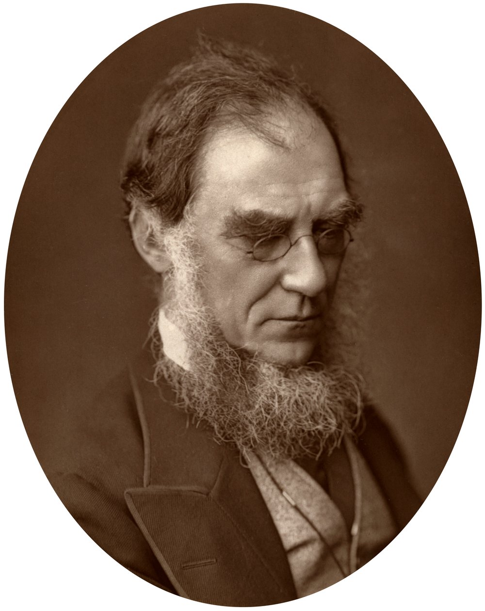 Sir Joseph Dalton Hooker, chef för Royal Gardens i Kew, 1881 av Unbekannt