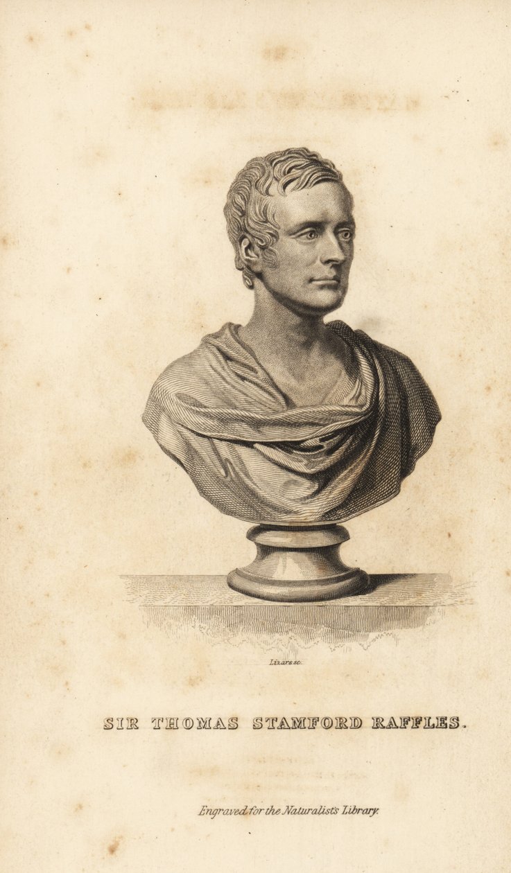 Sir Thomas Stamford Raffles, brittisk statsman, författare och naturforskare av Unbekannt