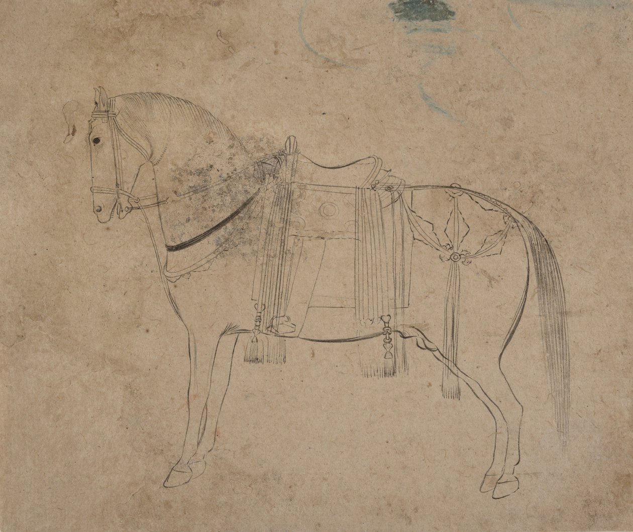 Sketch of a Horse, sent 1700-tal. av Unbekannt