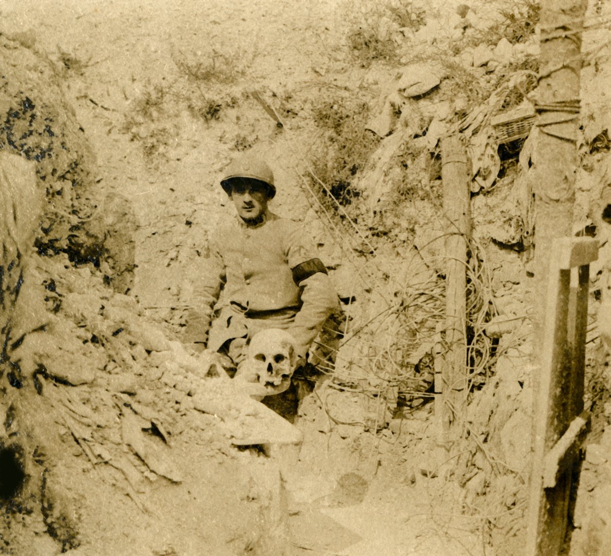 Skalle hittades nedgrävd i skyttegravarna, c1914-c1918 av Unbekannt