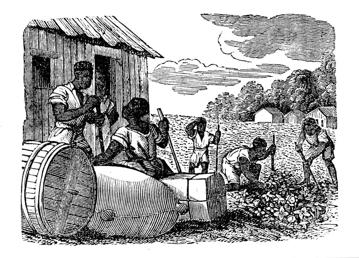 Slavar som arbetar på en tobaksplantage, 1833 av Unbekannt
