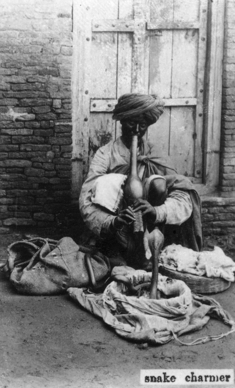 Ormtjusare, Indien, 1900-talet av Unbekannt