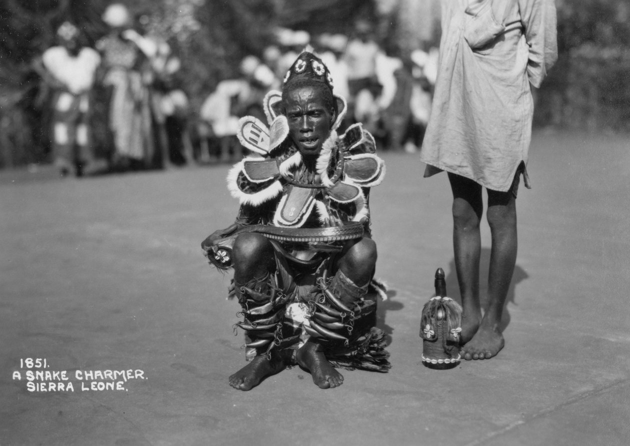 Ormtjusare, Sierra Leone, 1900-talet av Unbekannt