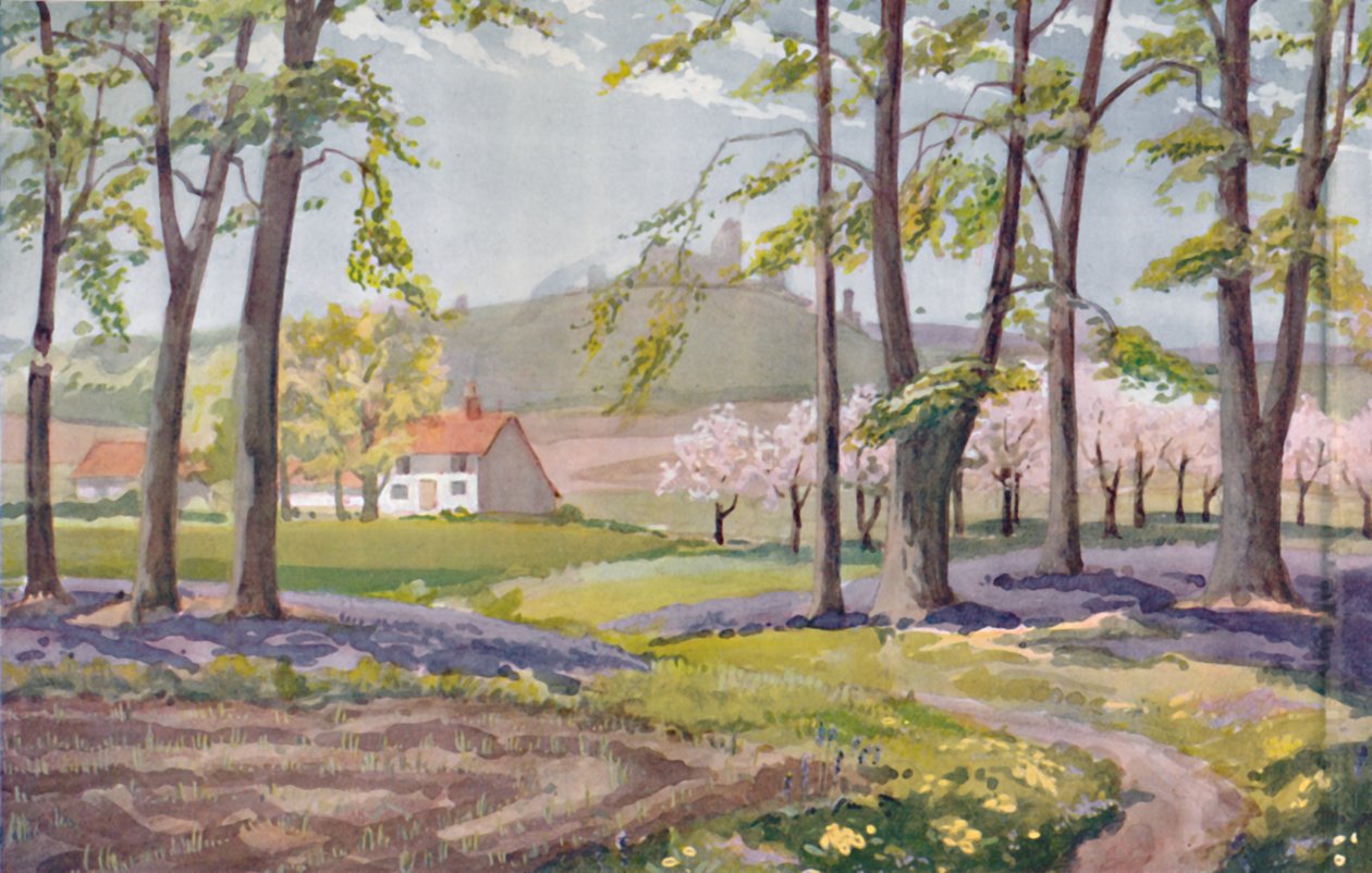 Våren - De fysiska, kemiska och biologiska förändringarna som solen åstadkom under året, 1935. av Unbekannt