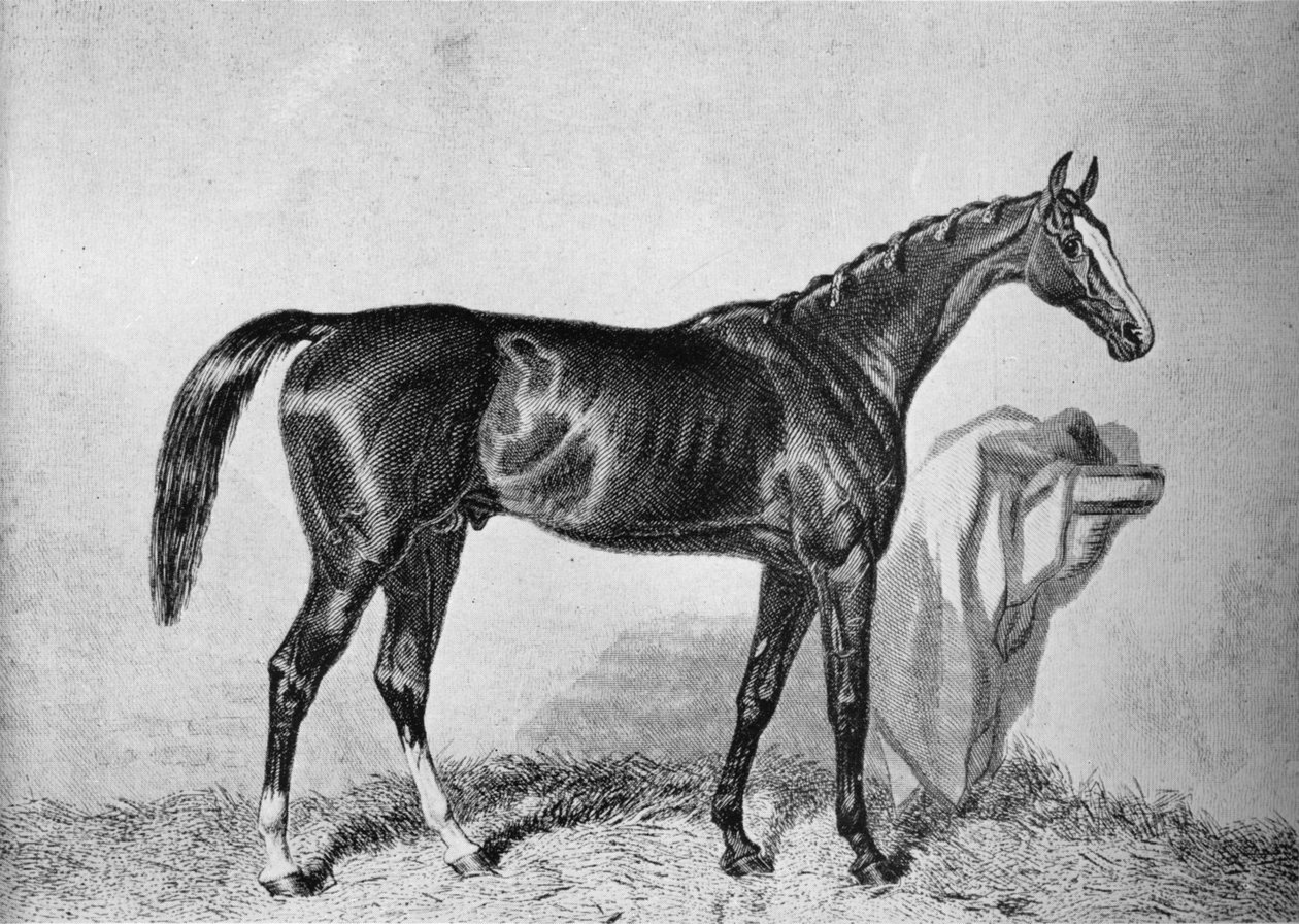 St. Albans, c1800-talet, 1911 av Unbekannt