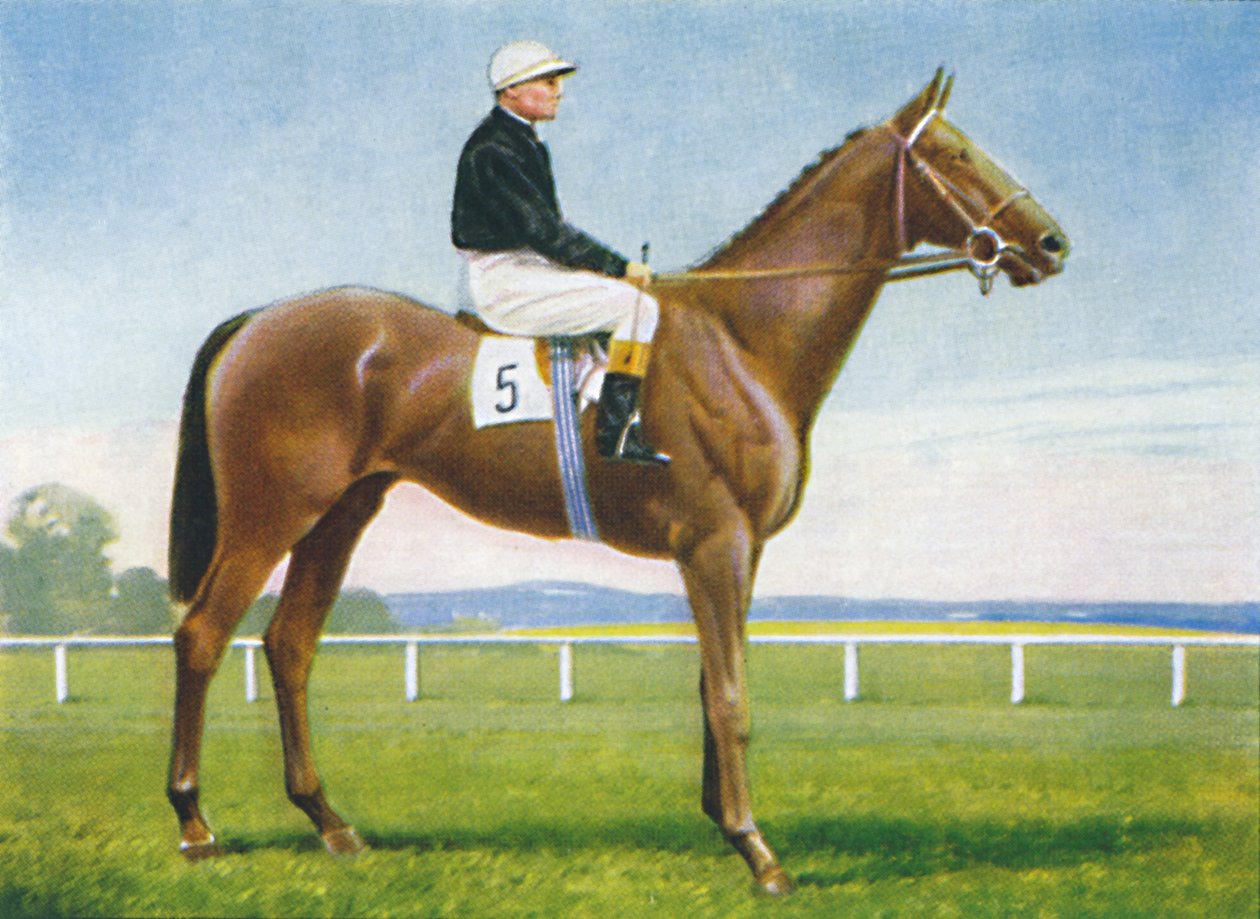 S:t Magnus, Jockey: R. Perryman, 1939 av Unbekannt