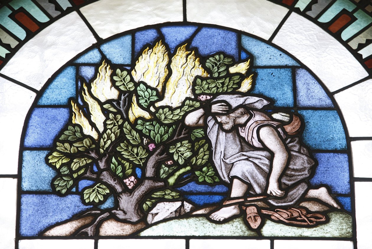 Målat glas: Moses och elden, Budapest, Hongrie av Unbekannt