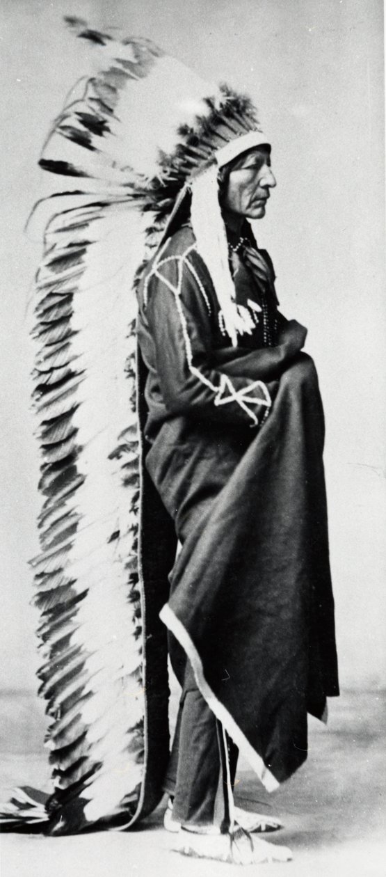 Stående björn, chef för Dakota Sioux, North American Plains Indians, c1885-c1890 av Unbekannt
