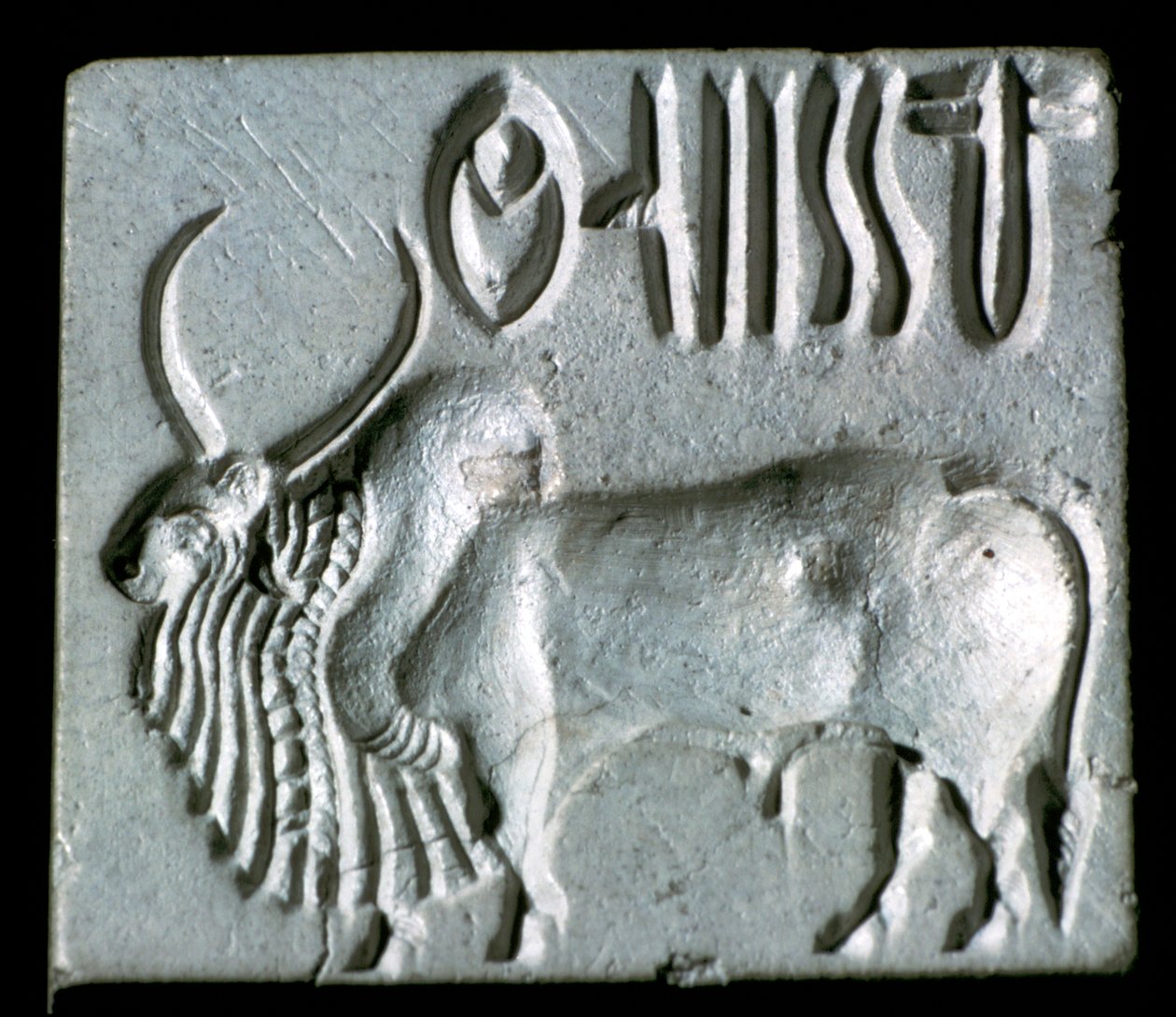 Steatitsäl med puckeltjur, Indusdalen, Mohenjo-Daro, 2500 - 2000 f.Kr. av Unbekannt