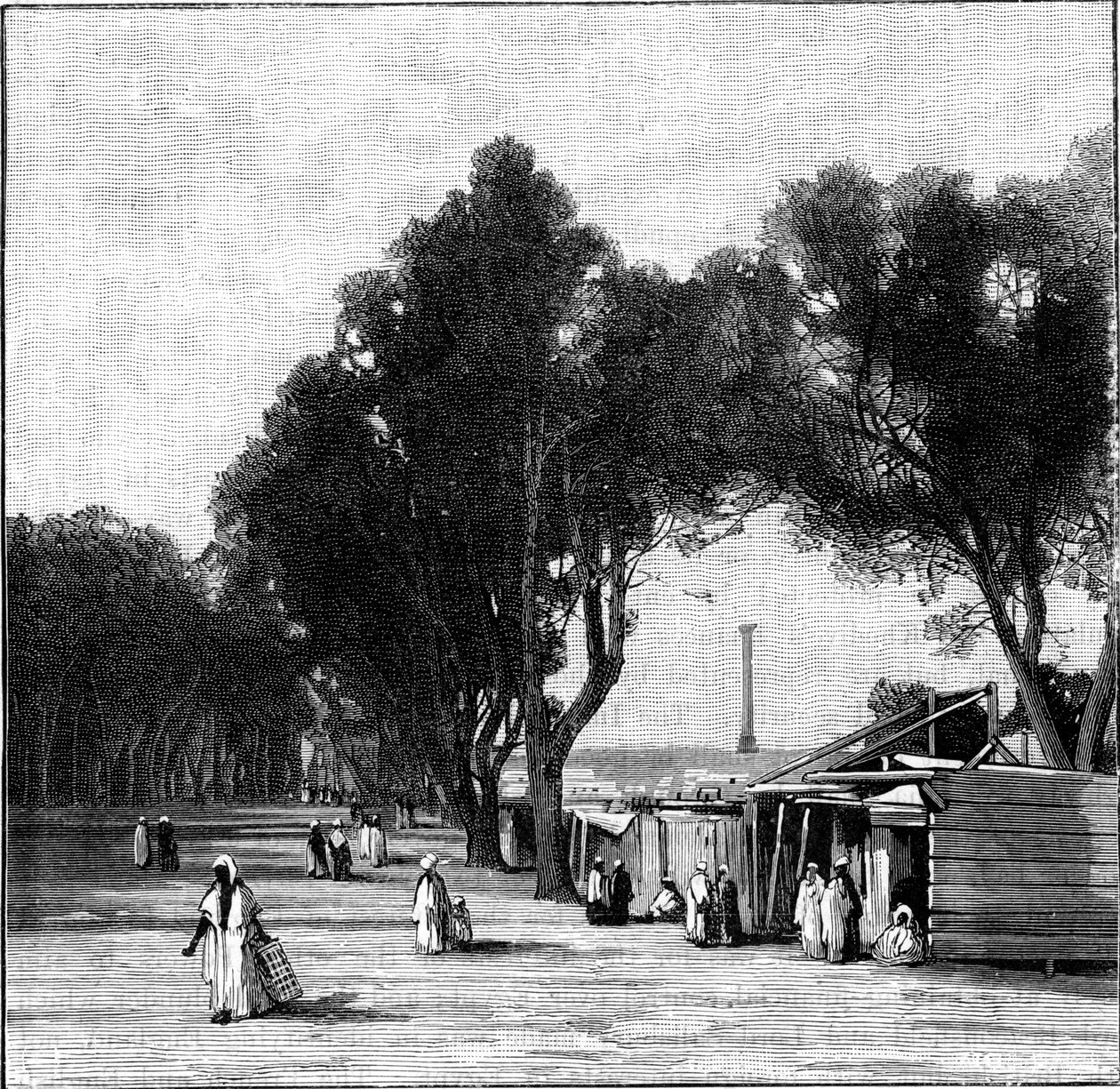 Gatubild med Pompeys pelare i fjärran, Alexandria, Egypten, 1900 av Unbekannt