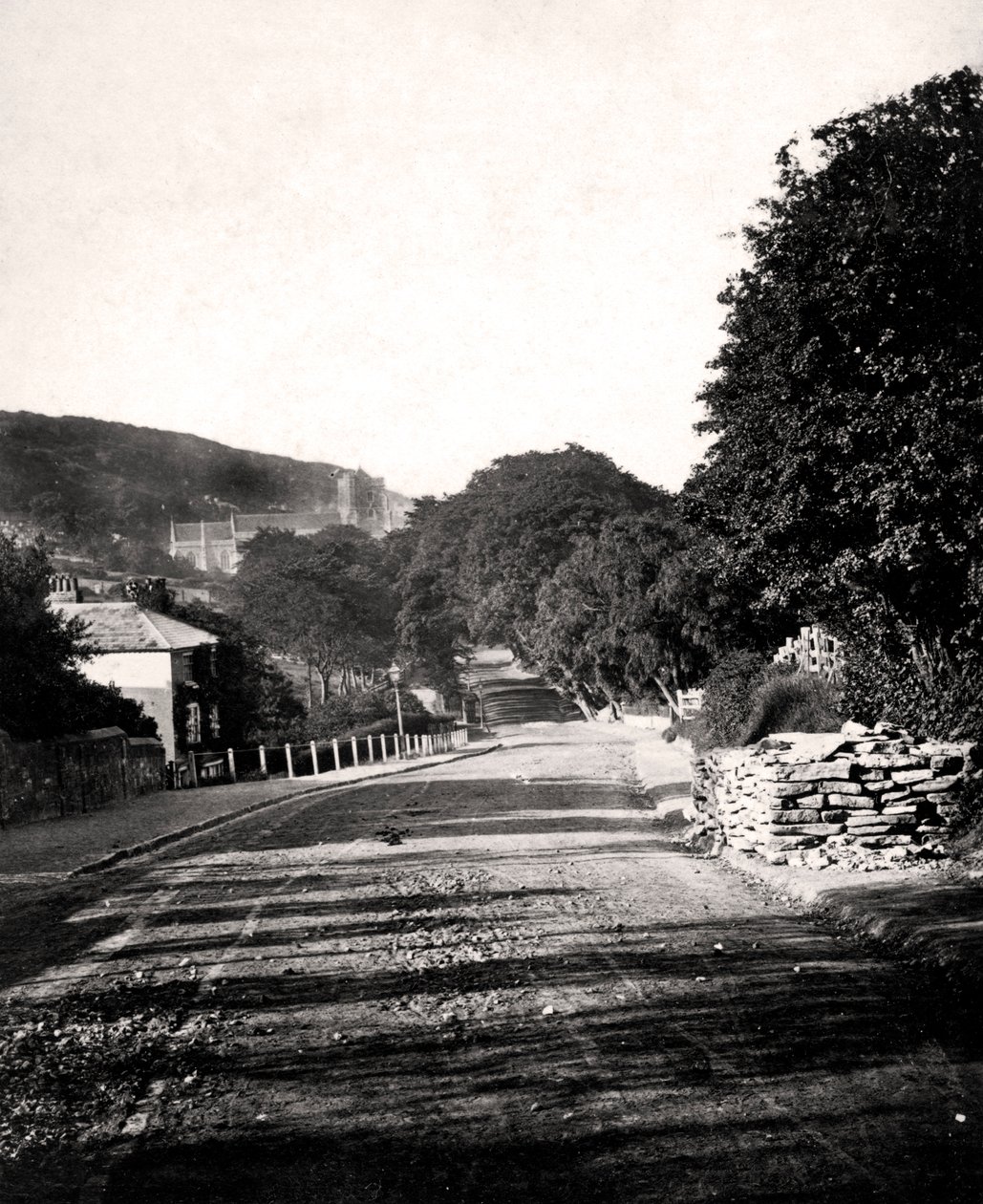 Gata genom en dal i Hastings, Sussex, tidigt 1900-tal av Unbekannt