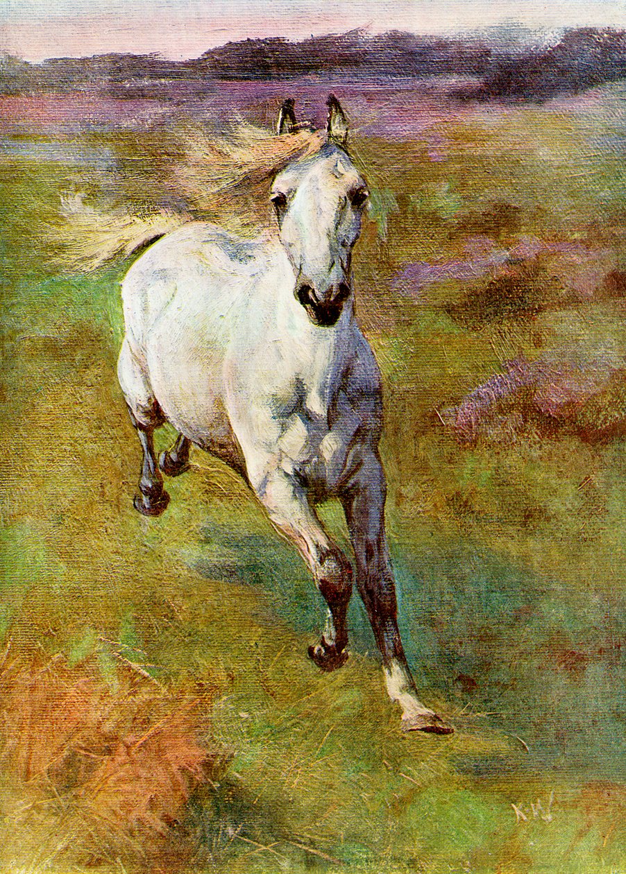 Studie från Life for Colt Hunting in the New Forest, 1899 av Unbekannt