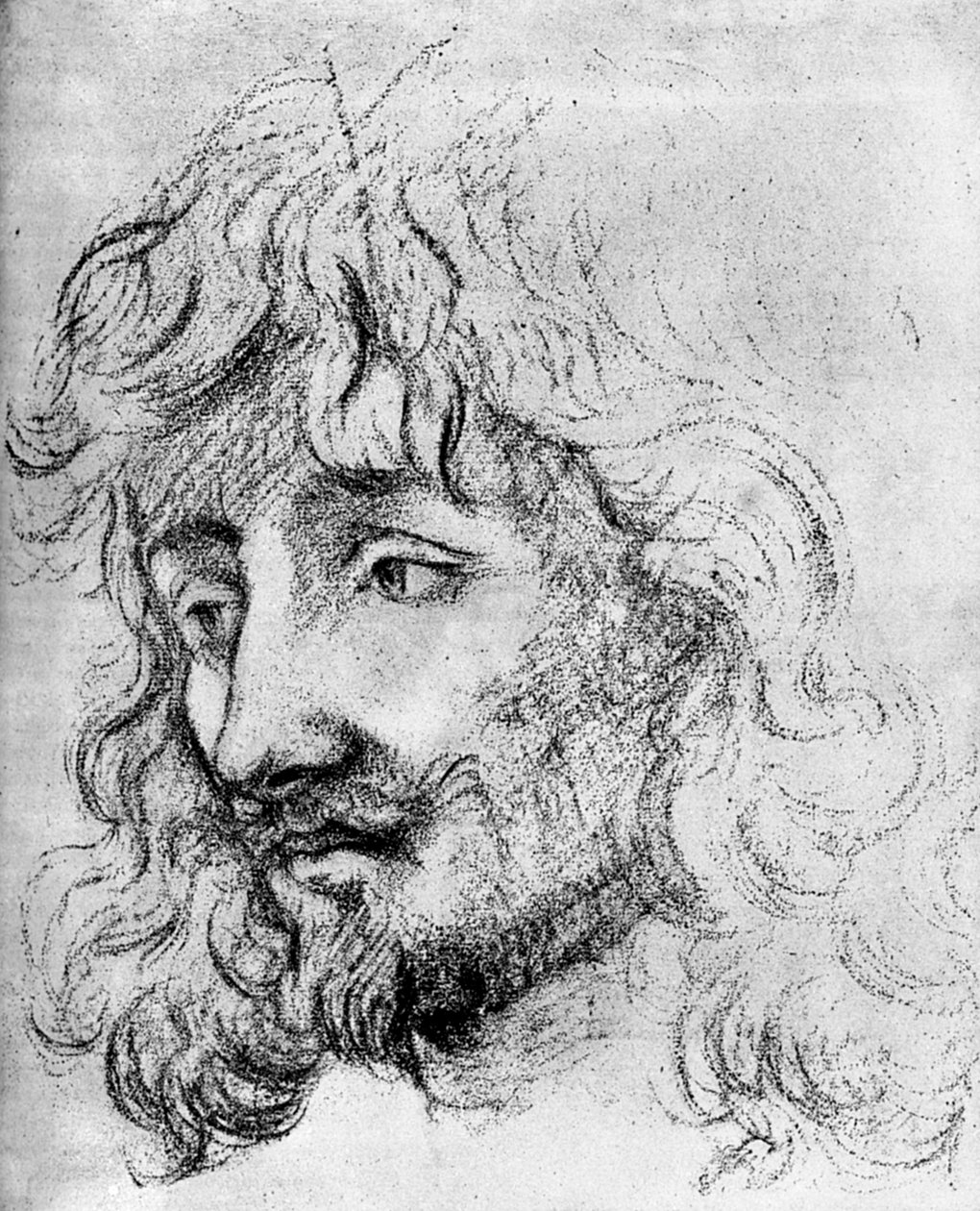 Study of a Head, 1600-talet 1882 av Unbekannt