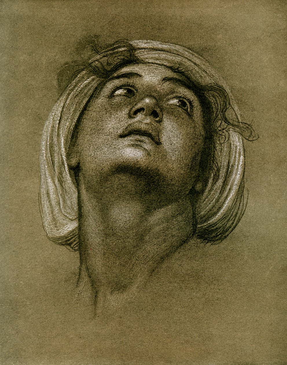 Studie av ett huvud, 1901 av Unbekannt