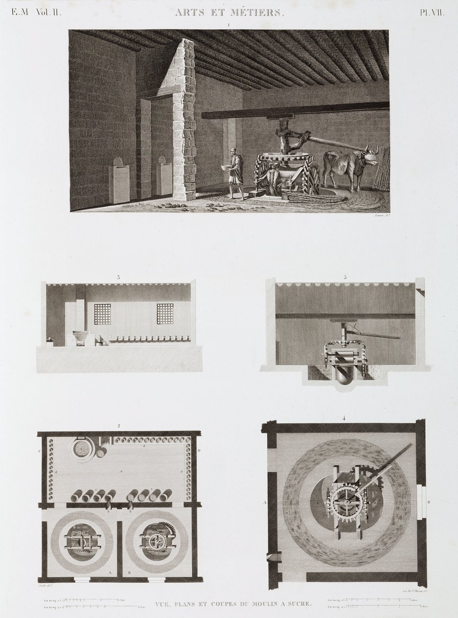 Socker Sockerbruk, Egypten, ca 1798 av Unbekannt