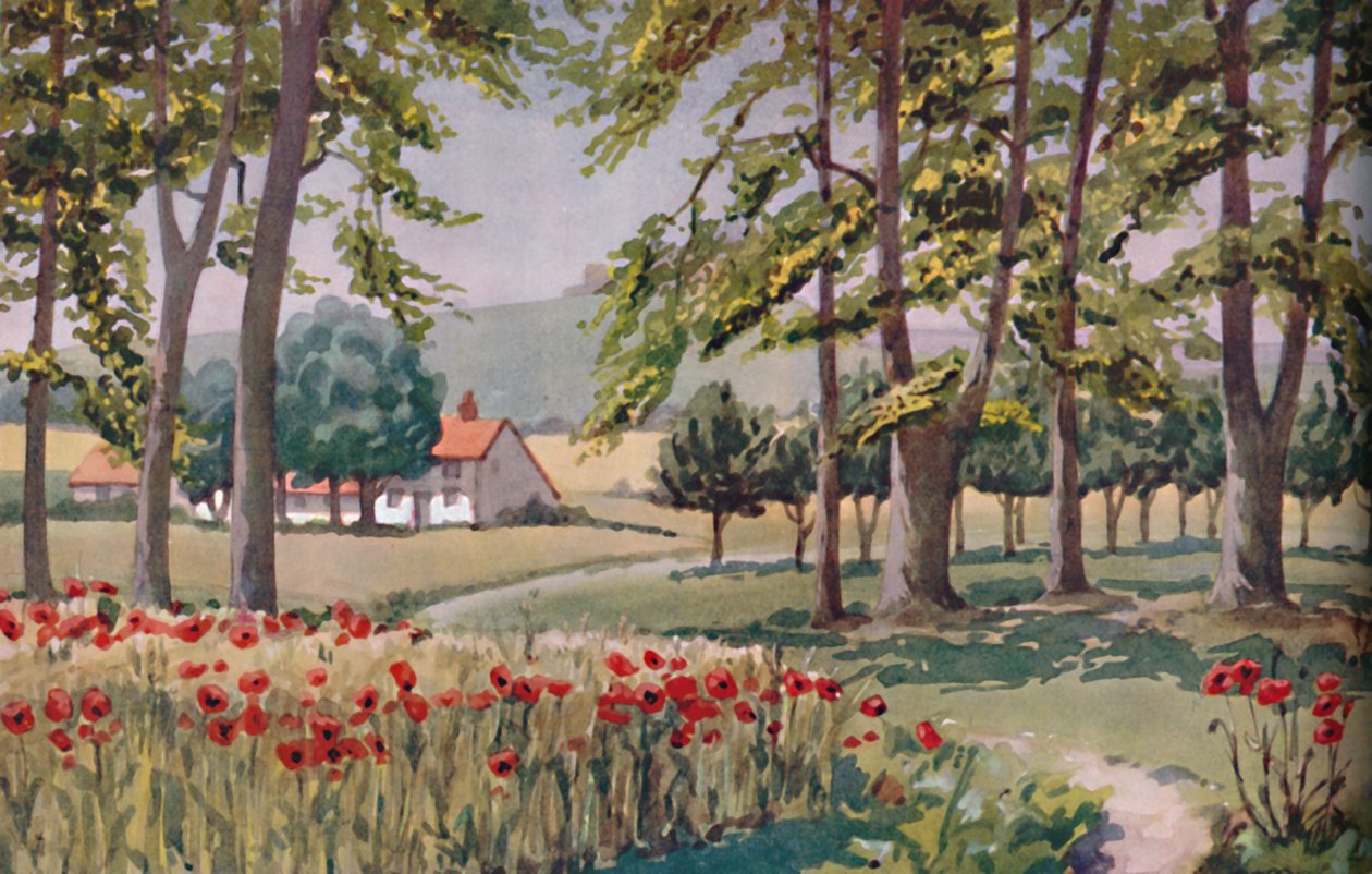 Sommar - De fysiska, kemiska och biologiska förändringarna som solen åstadkom under året, 1935 av Unbekannt