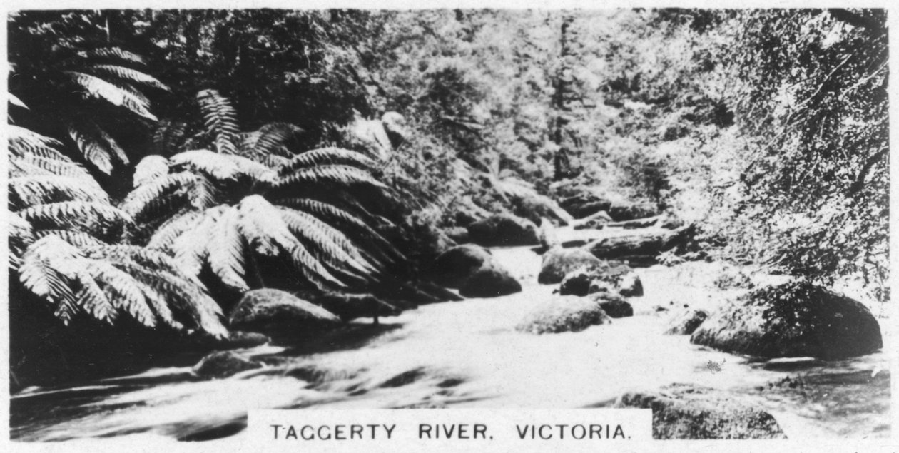 Taggerty River, Victoria, Australien, 1928 av Unbekannt