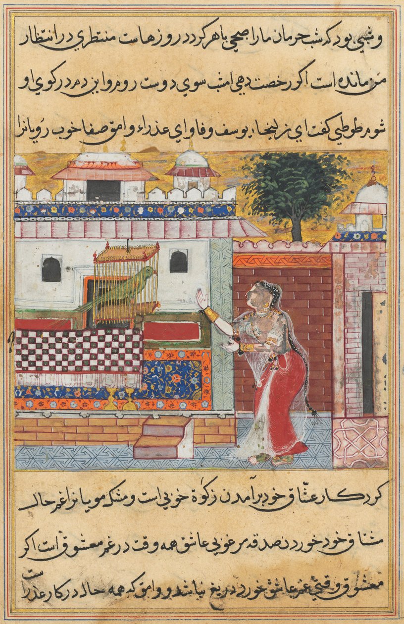 Tales of a Papegoja Tuti-nama: The Twelfth Night: papegojan tilltalar Khujasta..., ca. 1560. av Unbekannt