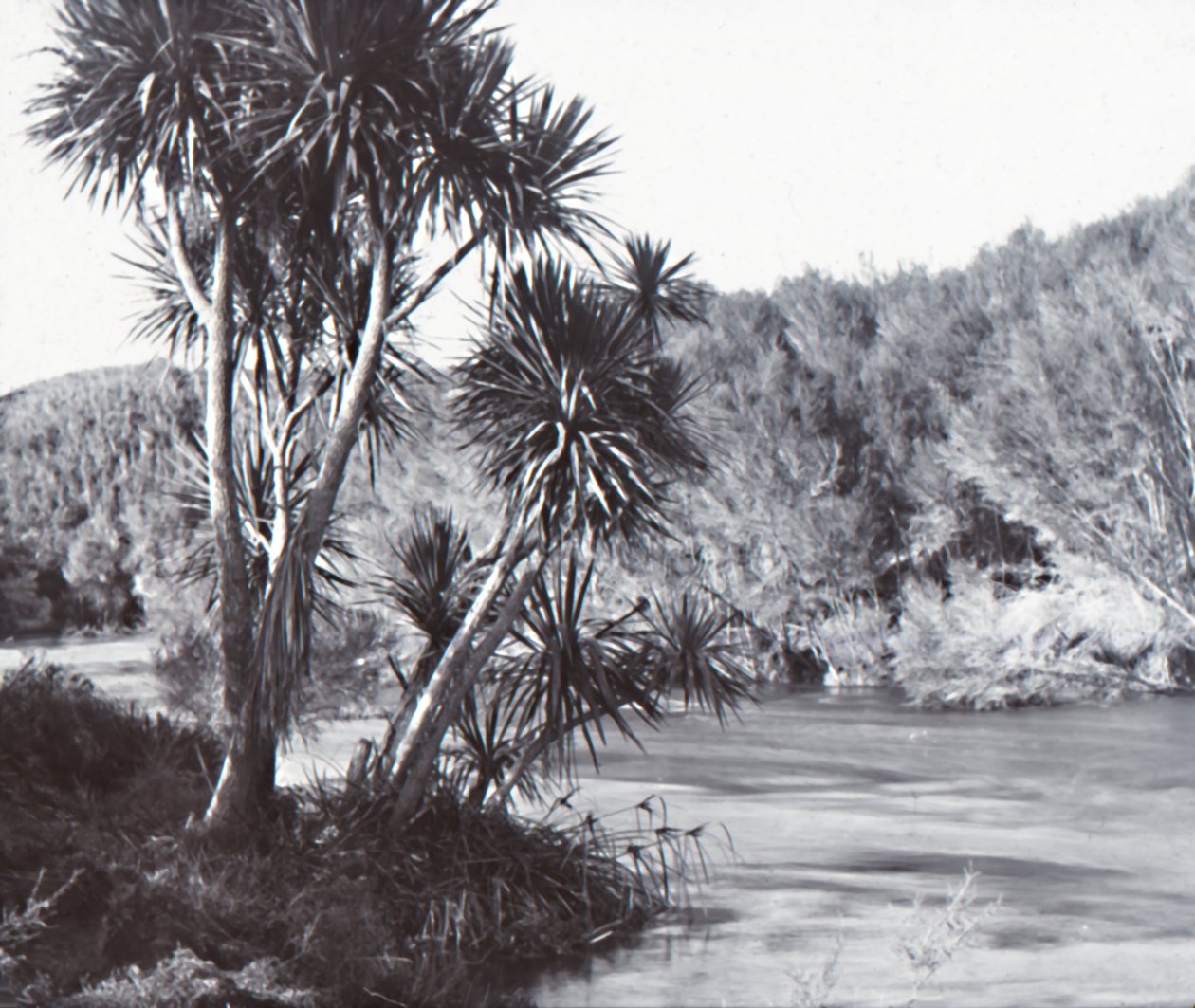 Te Waihou River, Okoroire, sent 1800-tidigt 1900-tal. av Unbekannt