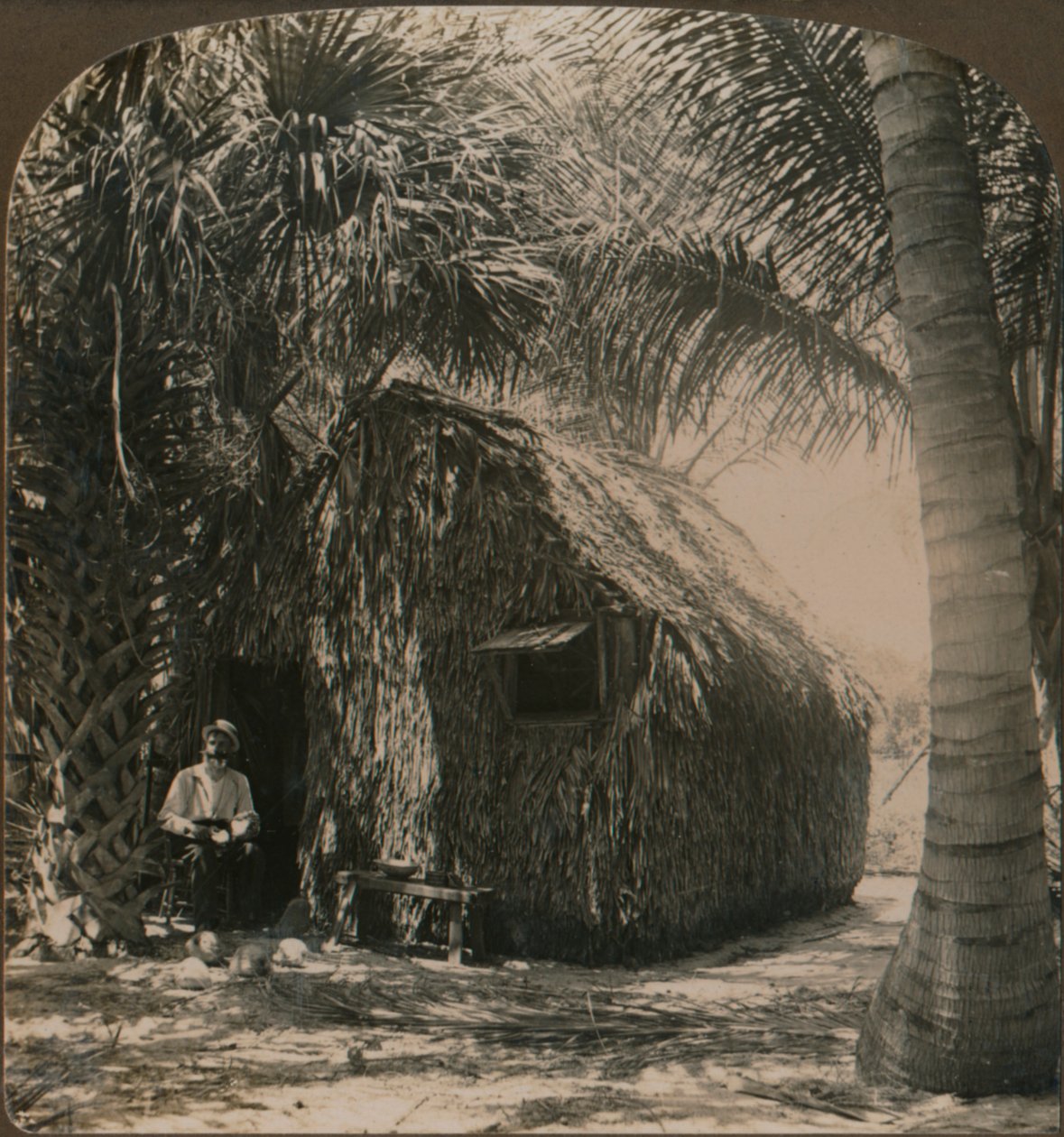 Halmtak stuga i Cocoanut Grove, Florida, U.S.A., c1900 av Unbekannt