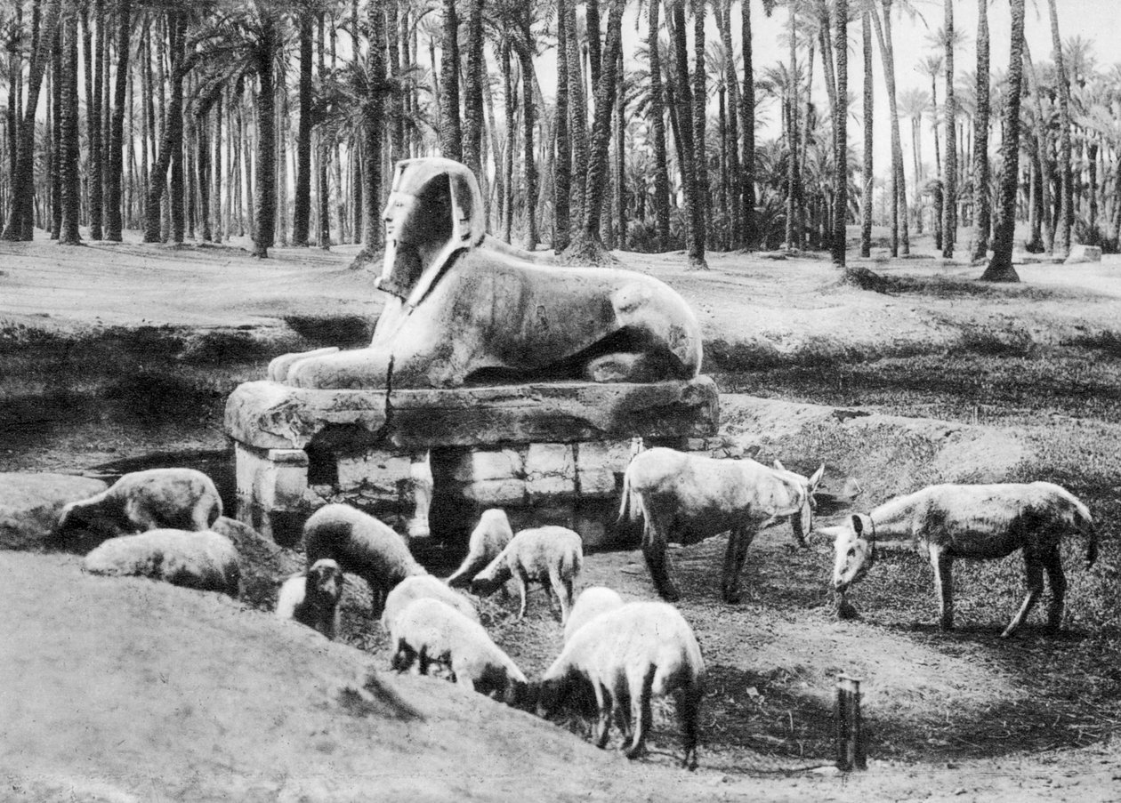 Alabastersfinxen, Kairo, Egypten, c1920-talet av Unbekannt