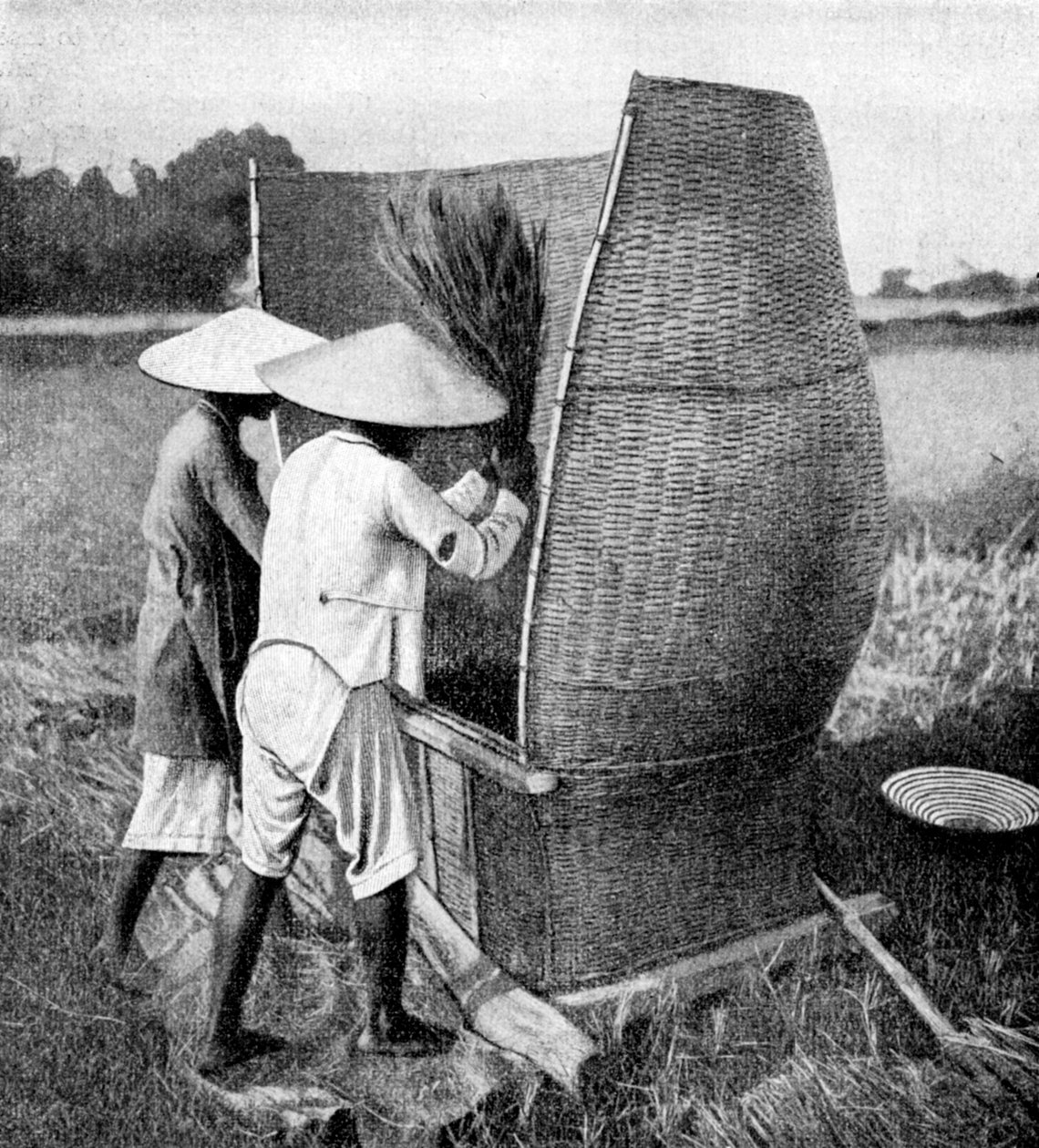 Det Annamesiska sättet att skörda och tröska ris, Annam, Vietnam, 1922 av Unbekannt