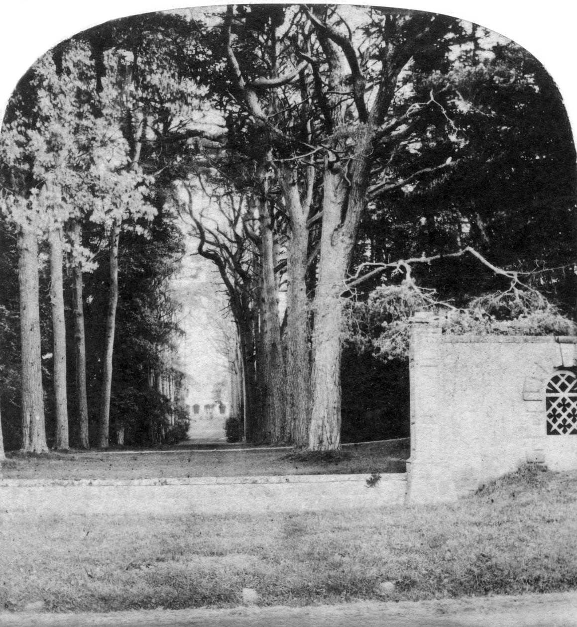 The Avenue, Guys Cliff, Warwick, tidigt 1900-tal av Unbekannt