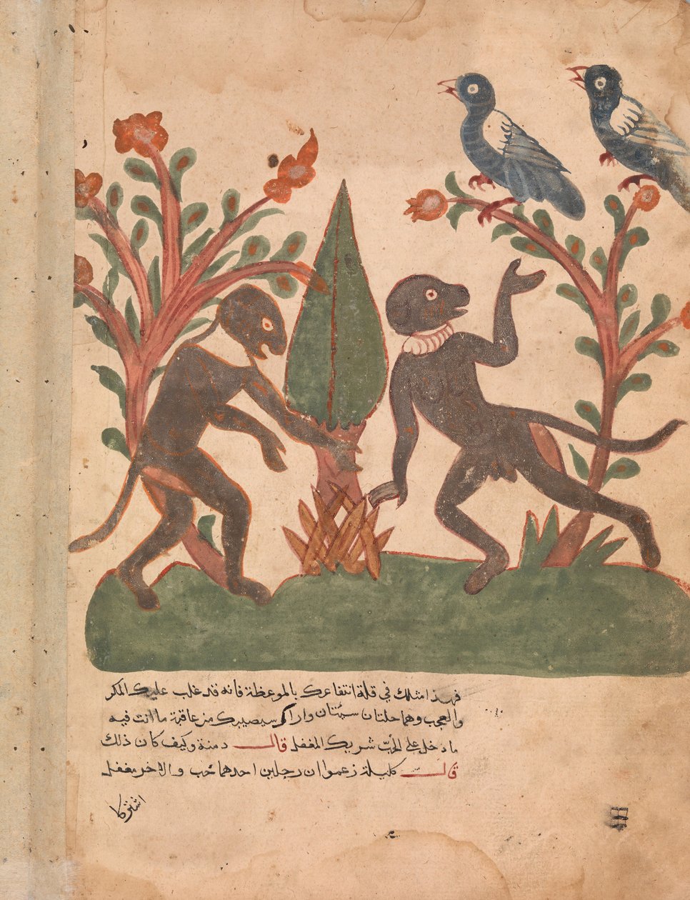 Fåglarna och aporna med glödmasken, Folio från en Kalila wa Dimna, 1700-tal. av Unbekannt